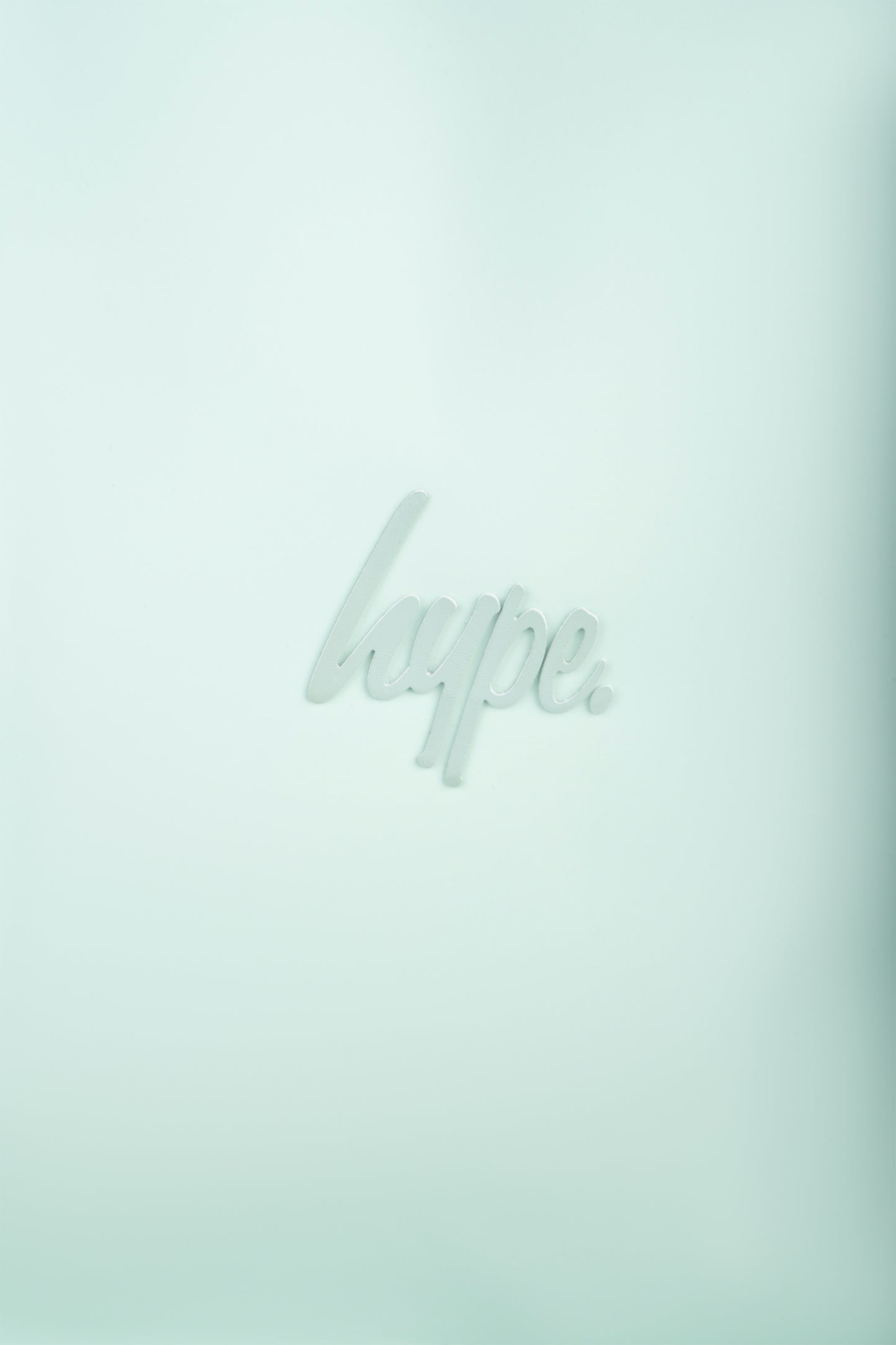 Hype Unisex Sage Traveller Backpack